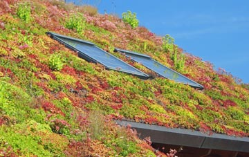 Iwerne Minster living roof systems