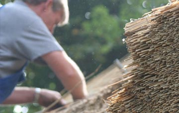 professional Iwerne Minster thatchers