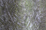 Iwerne Minster fibreglass roof work